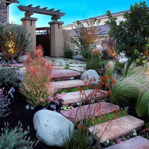 Sustainable Landscaping Photo
